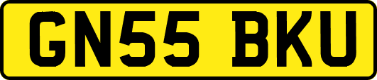 GN55BKU