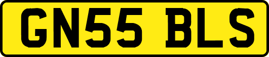 GN55BLS
