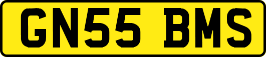 GN55BMS