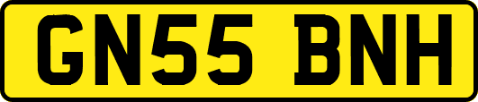GN55BNH