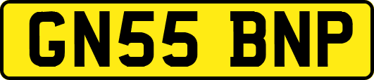 GN55BNP
