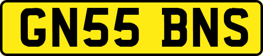GN55BNS