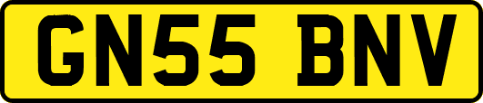 GN55BNV