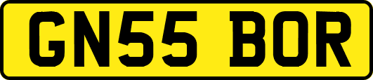 GN55BOR