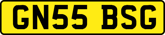 GN55BSG
