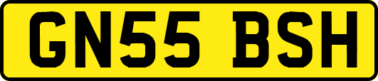 GN55BSH