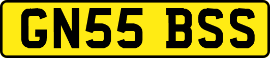 GN55BSS
