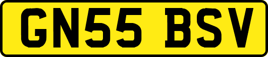 GN55BSV