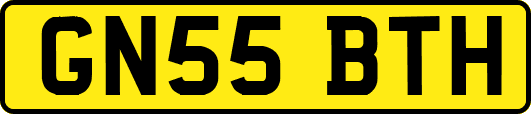 GN55BTH