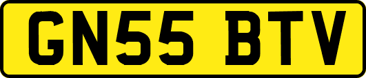 GN55BTV