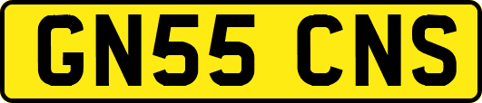 GN55CNS