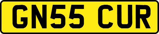 GN55CUR