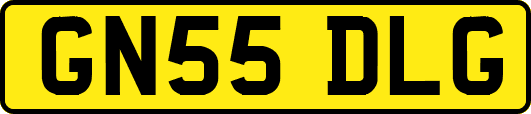 GN55DLG