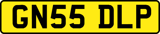 GN55DLP