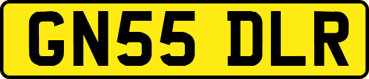 GN55DLR