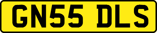 GN55DLS