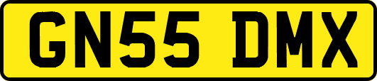 GN55DMX