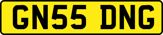 GN55DNG