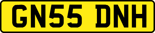 GN55DNH