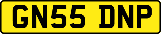 GN55DNP