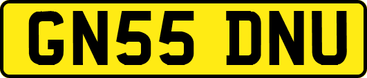 GN55DNU