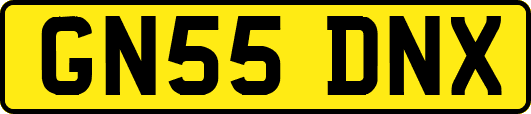 GN55DNX