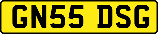 GN55DSG