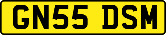 GN55DSM