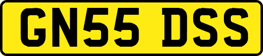 GN55DSS