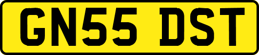 GN55DST