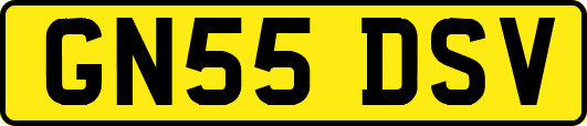 GN55DSV