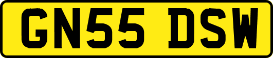 GN55DSW