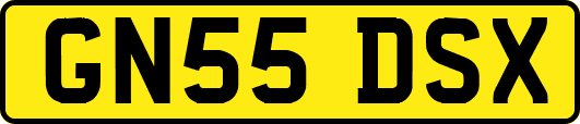 GN55DSX