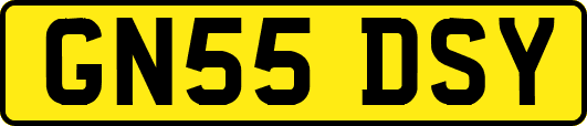 GN55DSY