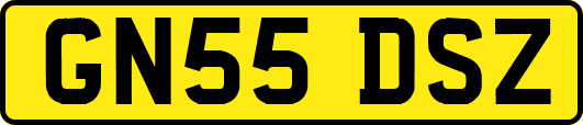 GN55DSZ