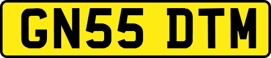 GN55DTM