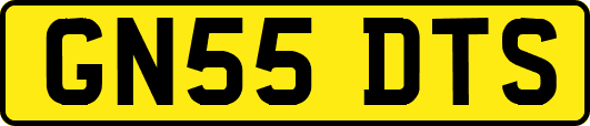 GN55DTS