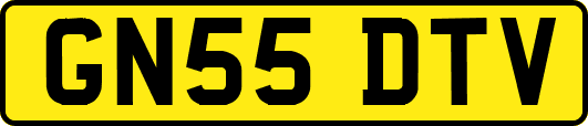 GN55DTV