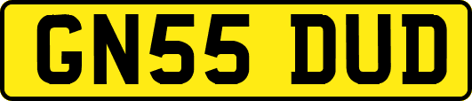 GN55DUD