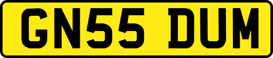 GN55DUM