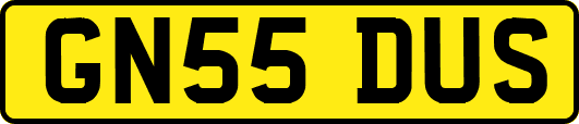 GN55DUS