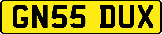 GN55DUX