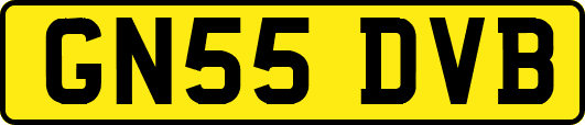 GN55DVB