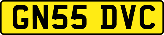 GN55DVC
