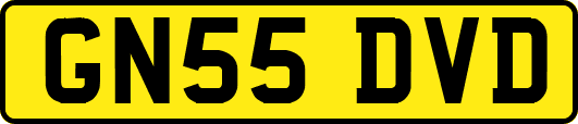 GN55DVD