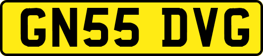 GN55DVG
