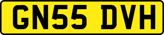 GN55DVH