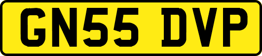 GN55DVP