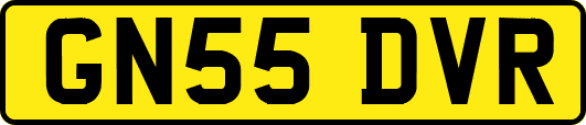 GN55DVR