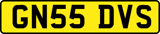 GN55DVS